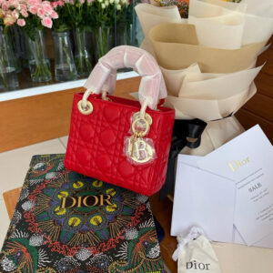 Dior VIP