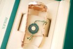 ⁦Rolex VIP⁩ - الصورة ⁦13⁩