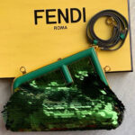 FENDI VIP