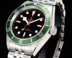 ⁦TUDOR VIP⁩ - الصورة ⁦4⁩