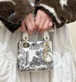 Dior - Image 11